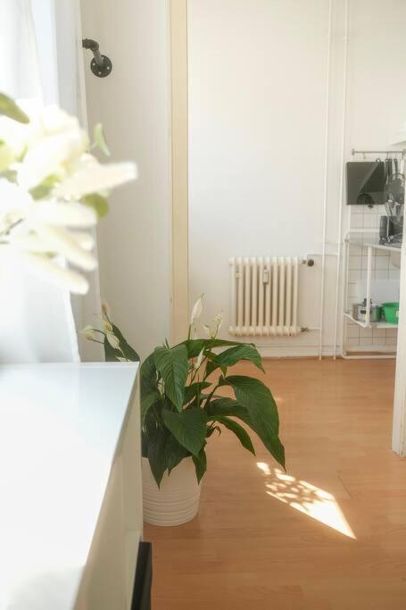 Stadtoase Wohnung Nahe Hauptbahnhof Koblenz  Dış mekan fotoğraf